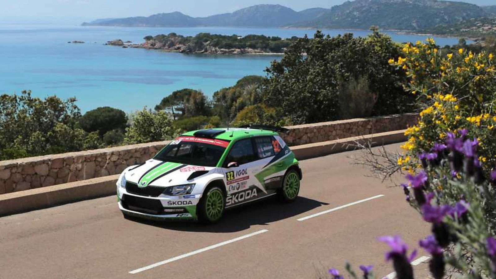 WRC - Campeonato del Mundo. Rally de Córcega: Resumen