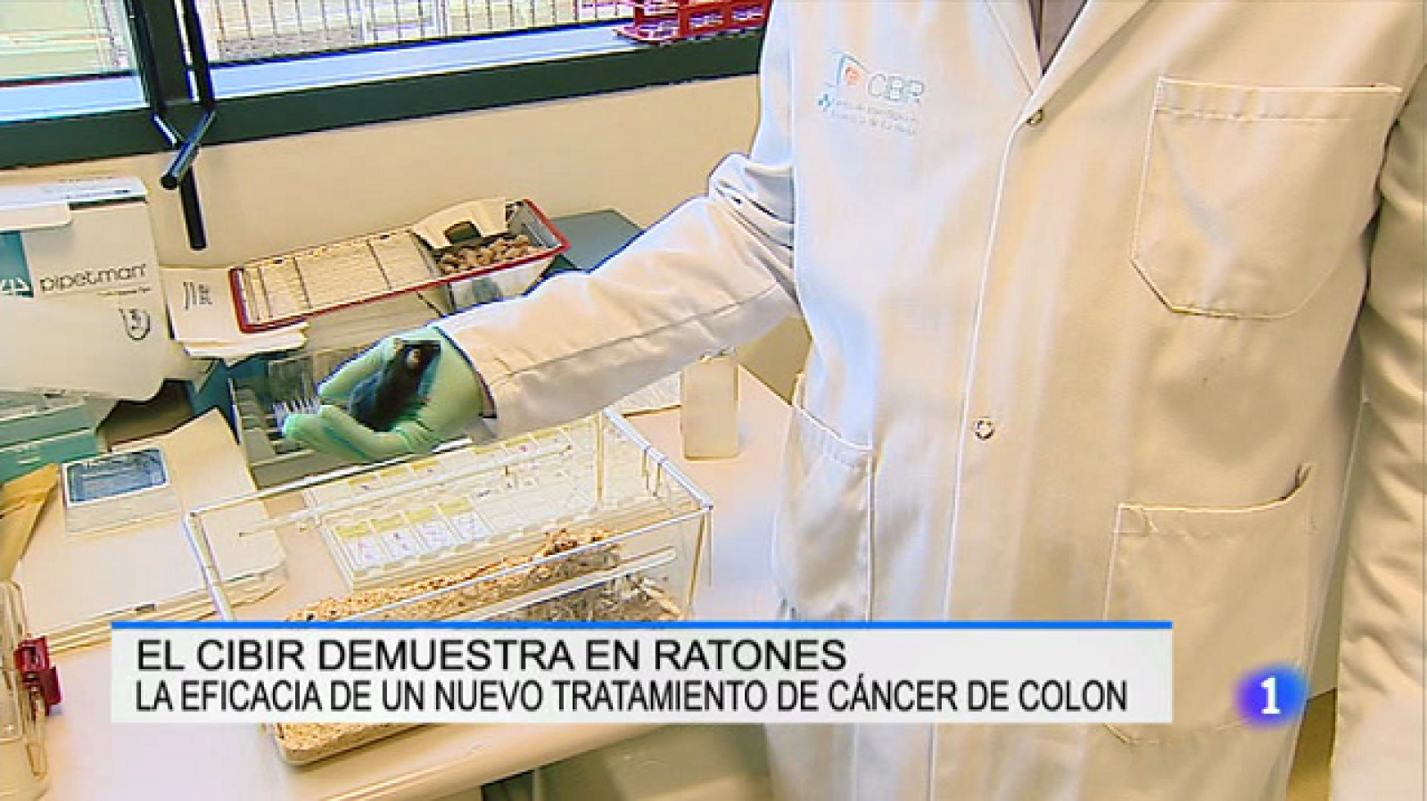 Informativo Telerioja - 12/04/17