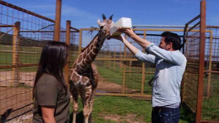 Aquí la Tierra - ¡Bienvenida Xena!