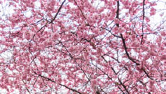 El tiempo - Bajan los termómetros en mitad nordeste peninsular y suben en Canarias