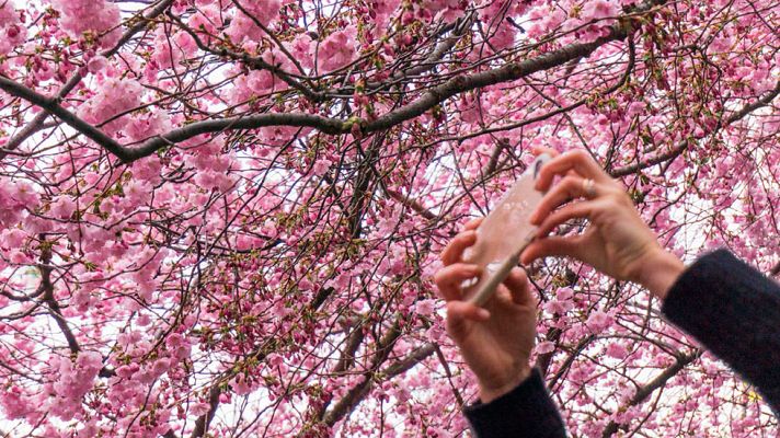 El tiempo - Bajan los termómetros en el Mediterráneo y suben en Galicia y Canarias