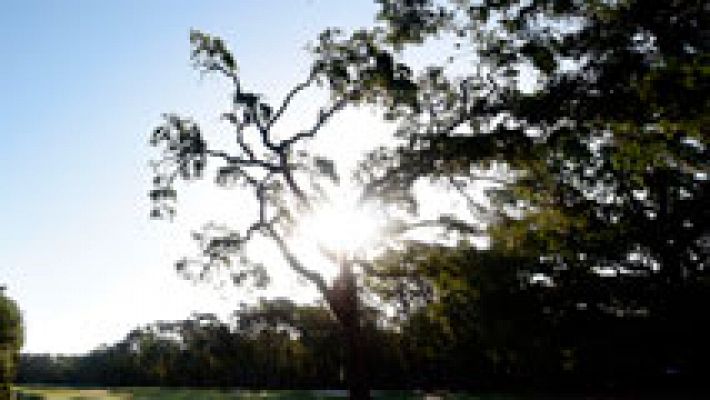 El tiempo - Suben las temperaturas, más en las islas orientales de Canarias