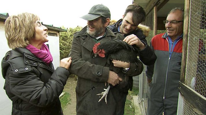 SOS alimentos, Karra al rescate - Vitoria