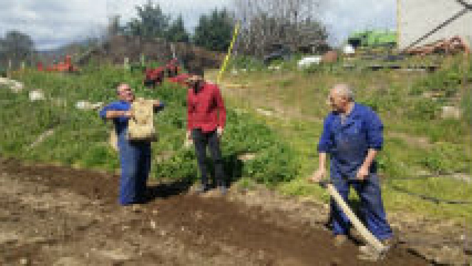 ¿Quiénes son Los Coplas?