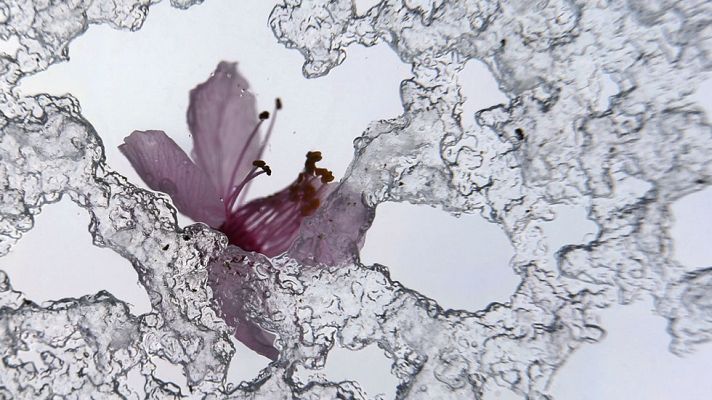 El tiempo - Una bolsa de aire frio trae tormentas con granizo y hasta 10 grados menos