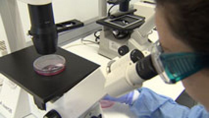 Telediario 1 - Viruscan, un proyecto europeo que busca detectar el ébola o el zika en minutos