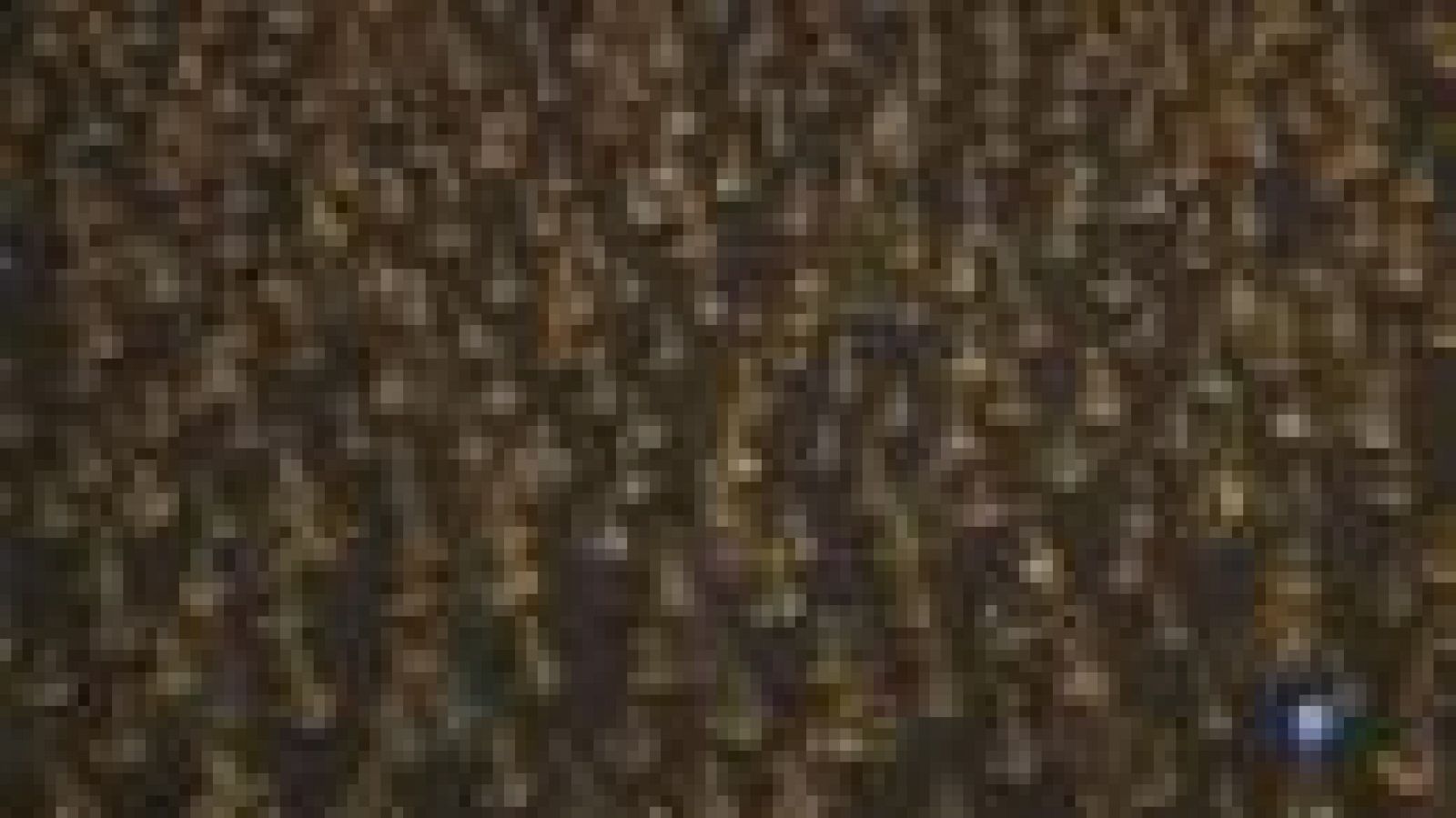 L' artista Jordi Fulla presenta "Anatomia d'una illa a ulls clucs" al Museu de Montserrat