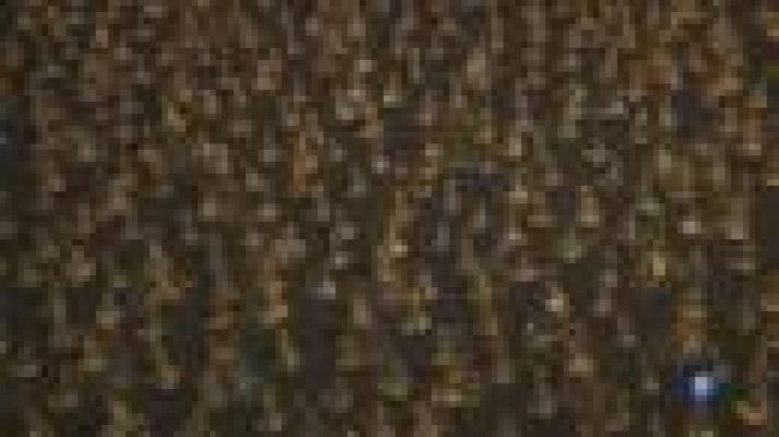 L'Informatiu - L' artista Jordi Fulla presenta "Anatomia d'una illa a ulls clucs" al Museu de Montserrat