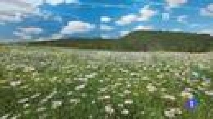 TeleCantabria - El tiempo en Cantabria - 20/04/17