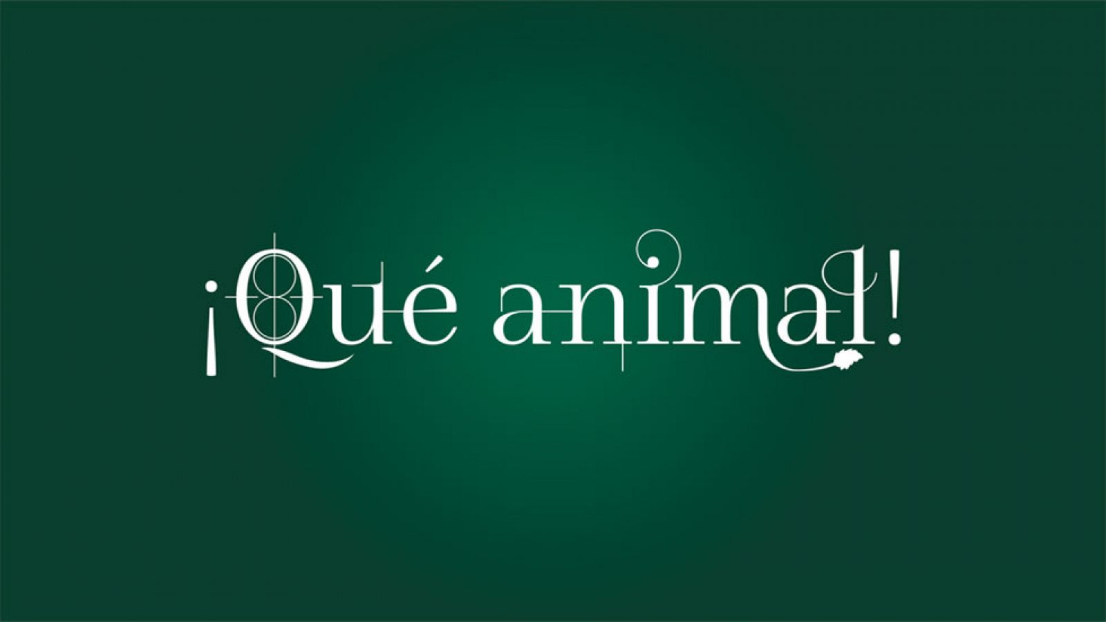 ¡Qué animal! - Cabecera del programa