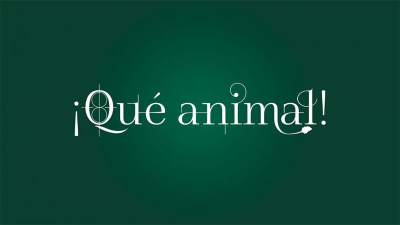 ¡Qué animal! - Cabecera del programa