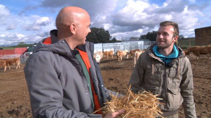 Aquí la Tierra - El círculo perfecto