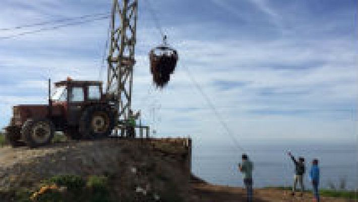 Aquí la Tierra - Algas a tutiplén