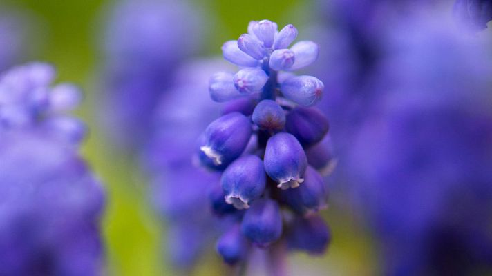 El tiempo - El temporal de levante sigue con olas de hasta seis metros en el sur