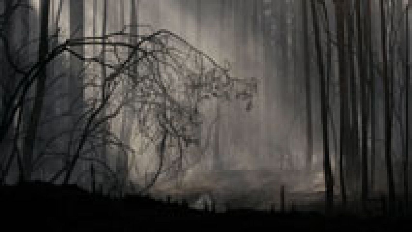 2.000 hectareas han ardido ya en el Bierzo cerca de Ponferrada