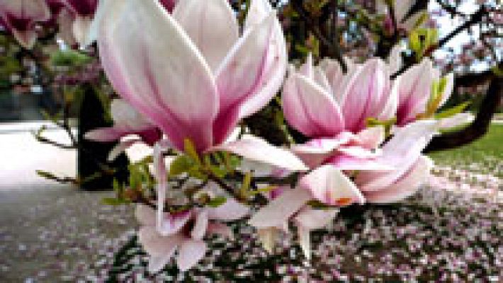 El tiempo - Termómetros al alza, con cerca de 30 grados en varias zonas de España