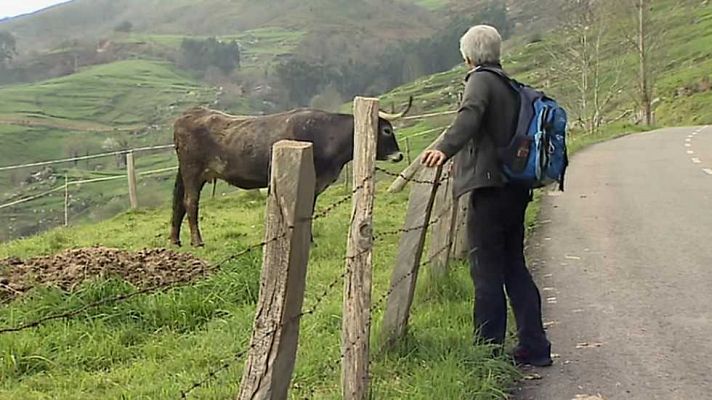 Agrosfera - Agrosfera - 22/04/17