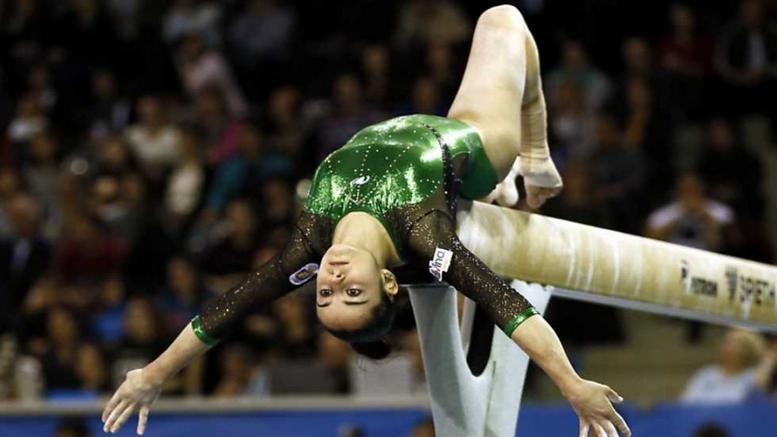 Gimnasia artística - Campeonato de Europa. Final por aparatos suelo masculino y salto femenino