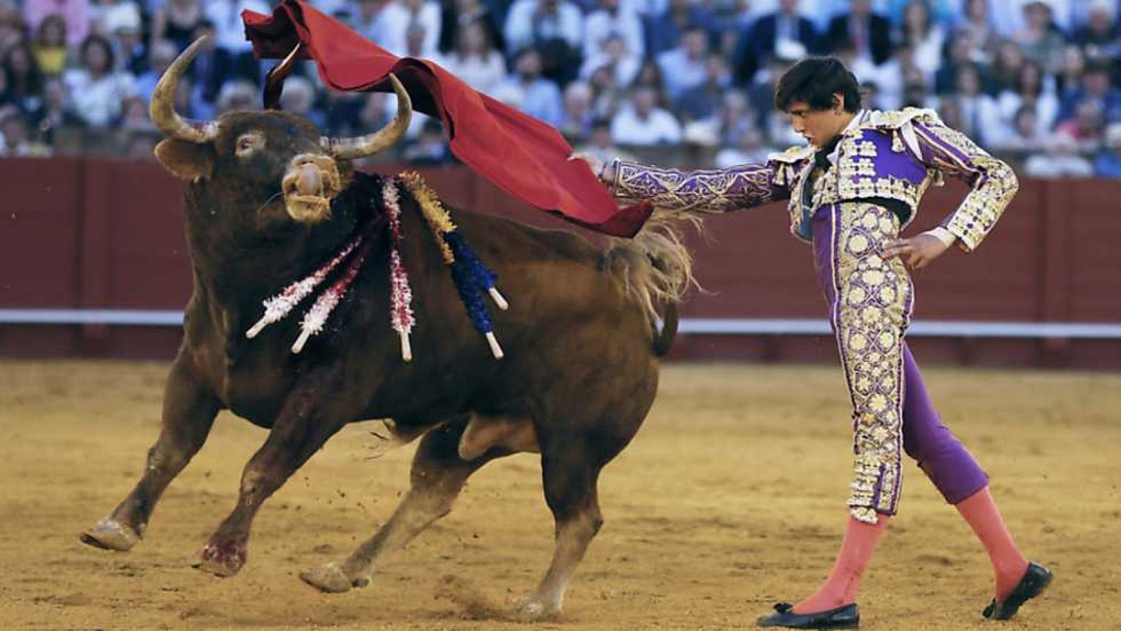 Tendido cero - 22/04/17 - ver ahora