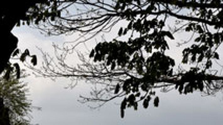 El tiempo - Temperaturas diurnas en aumento en Baleares y en buena parte de la Península