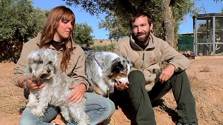 Más que perros y gatos - Capítulo 7