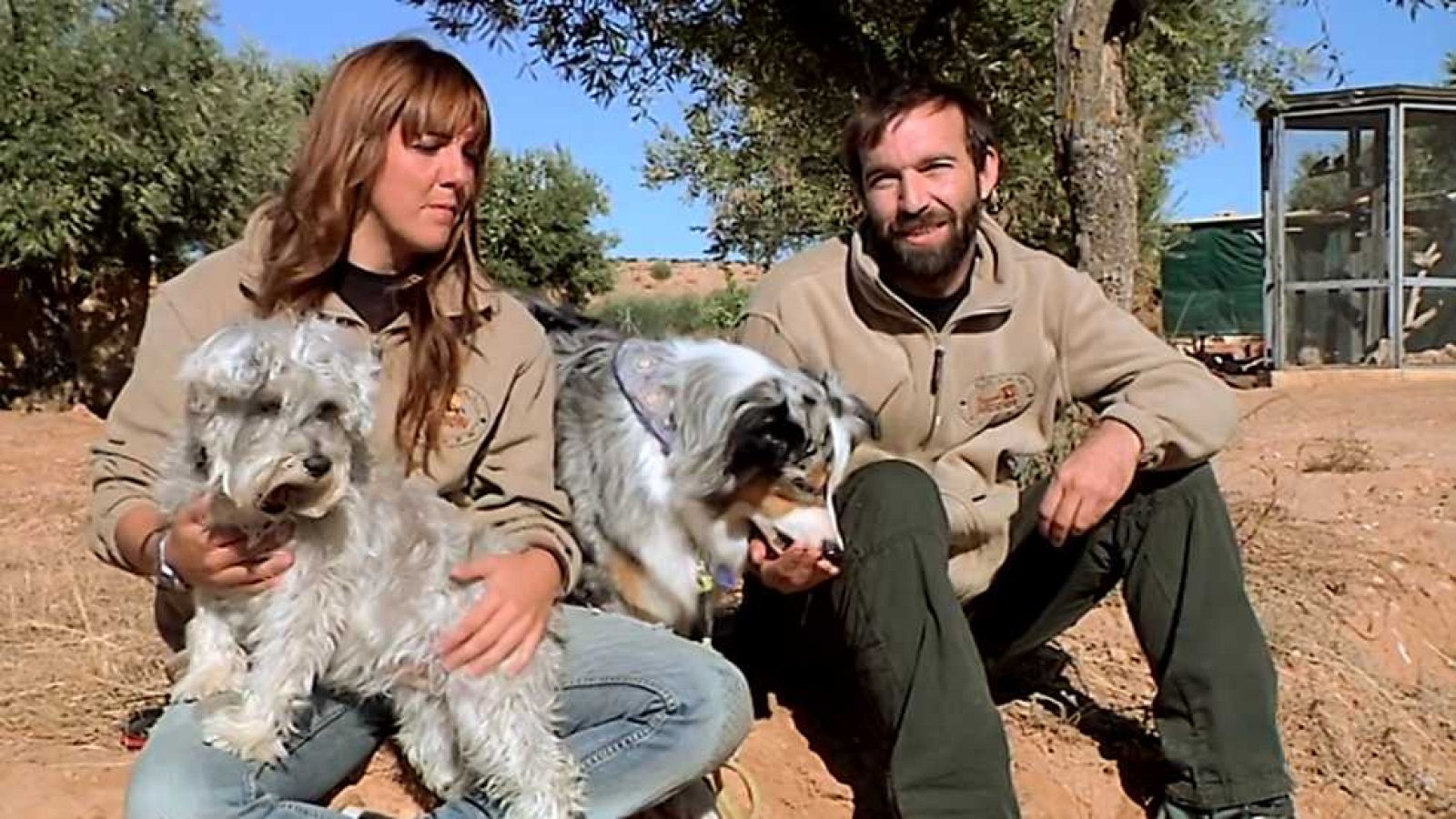 Más que perros y gatos - Capítulo 7 - ver ahora 