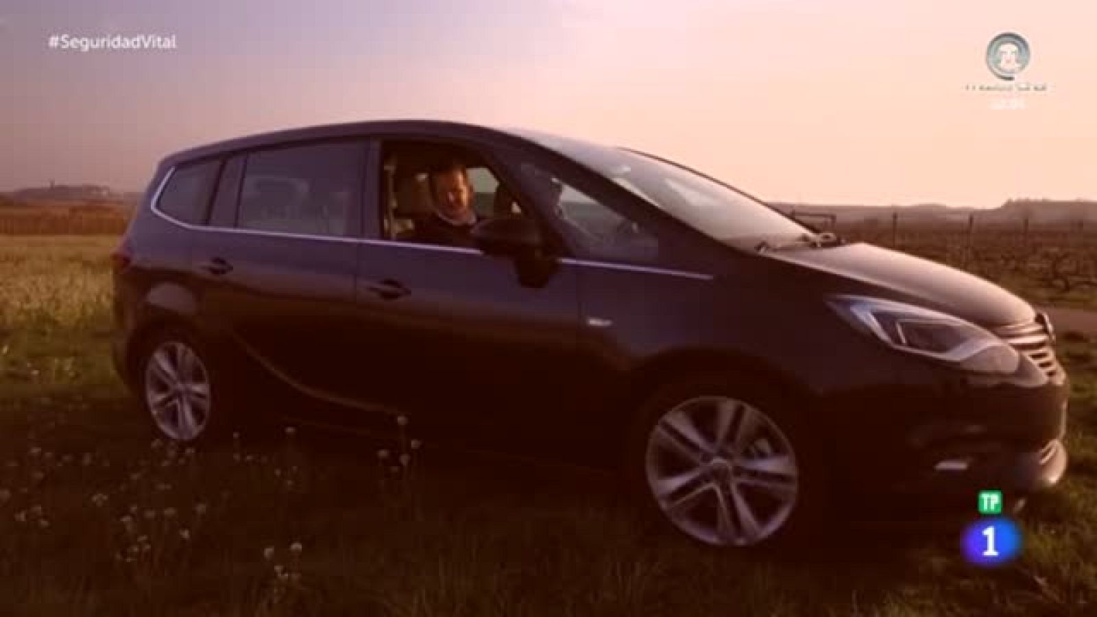 'Tomas falsas' - Logroño