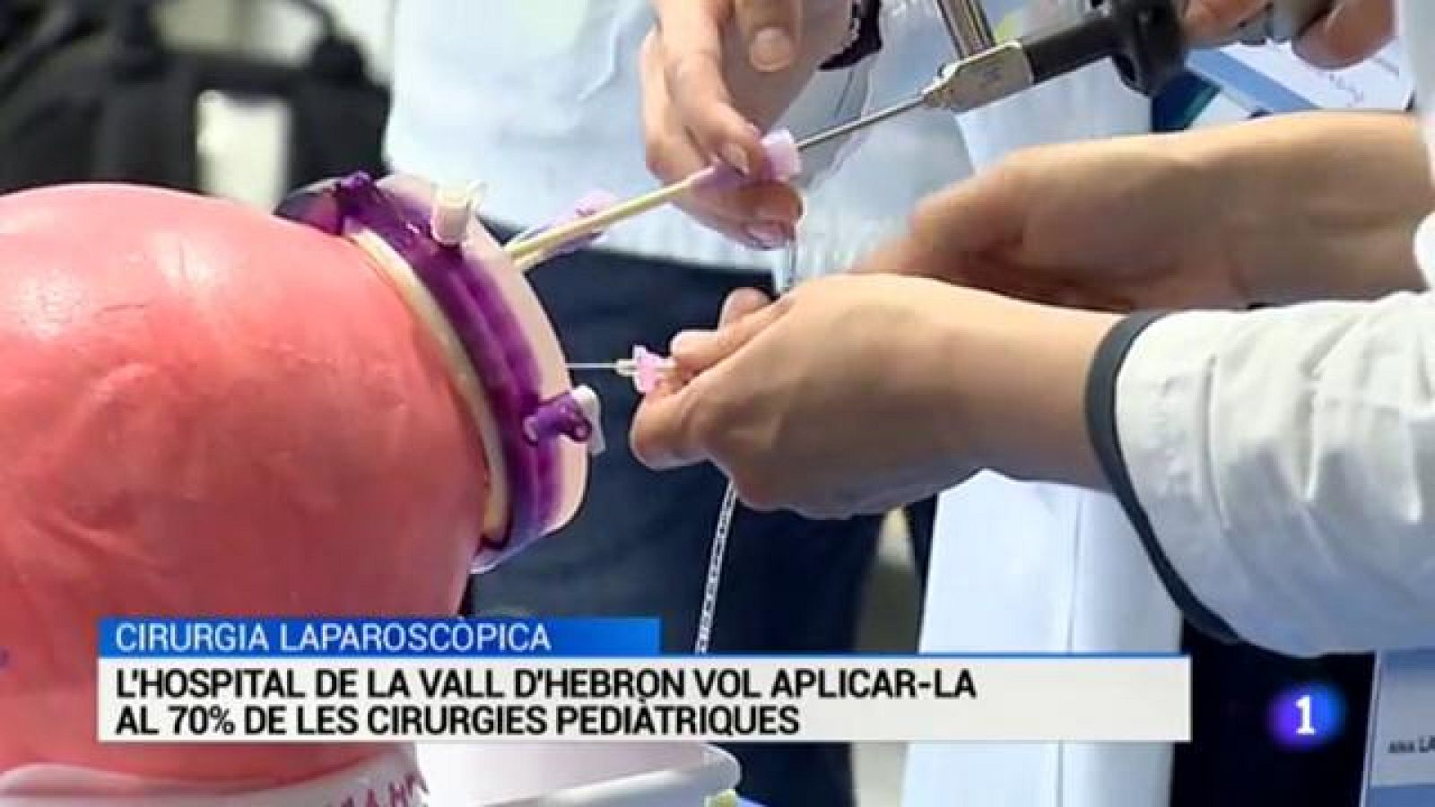 L'Informatiu - 24/04/17