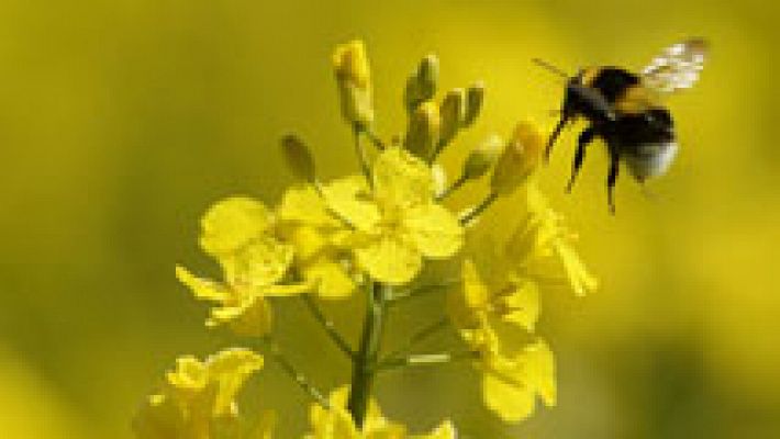 Informativo de Madrid - El Tiempo en la Comunidad de Madrid - 24/04/17