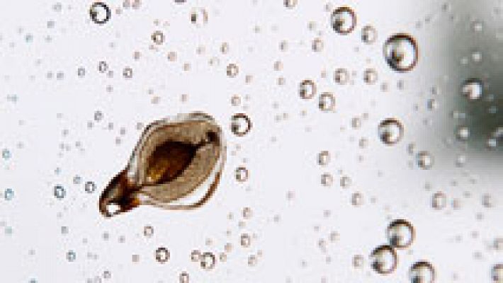 El tiempo - Lluvias en parte de la Península con temperaturas estables