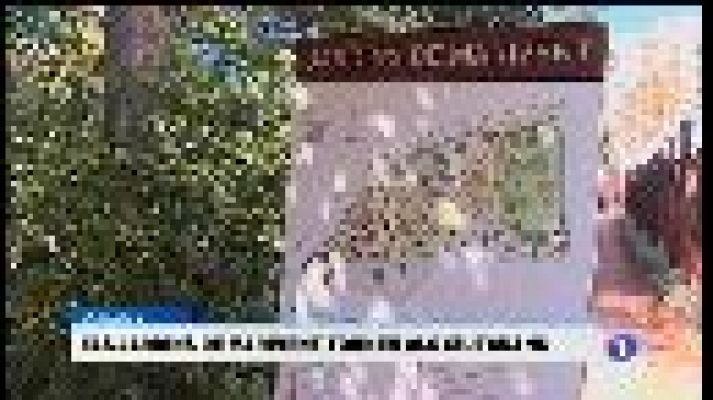 Informatiu Balear - Informatiu Balear - 24/04/17