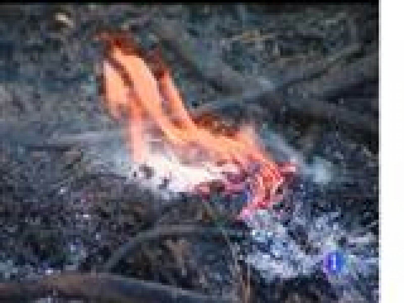 Panorama Regional 2 - 25/04/17 | Ver