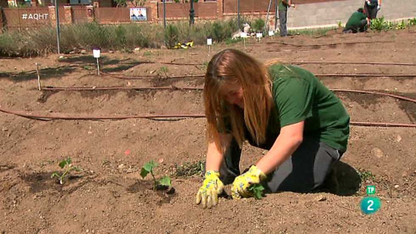 Aquí hay trabajo - 26/04/17 - ver ahora
