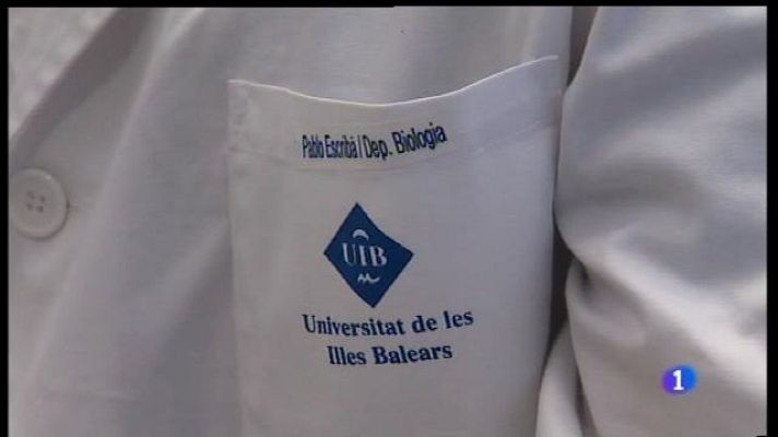 Informatiu Balear - Els imputats del cas Minerval declararan el 2 i 3 de maig