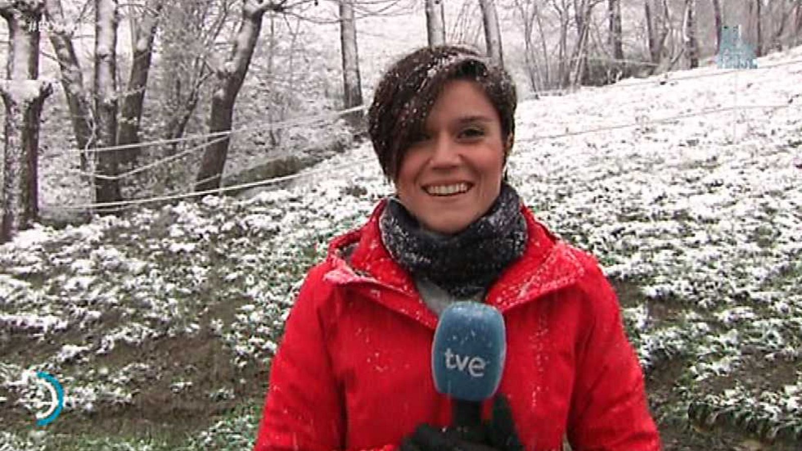 España Directo  - 26/04/17 - ver ahora