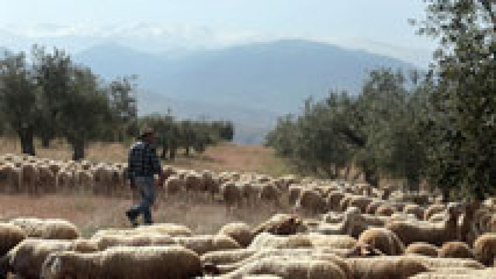 El tiempo: Escasa probabilidad de lluvias en Galicia, Cantábrico y Cataluña | RTVE Play