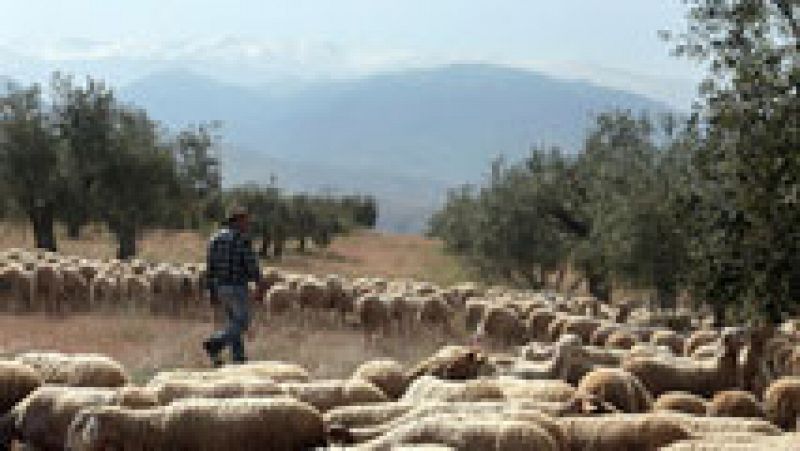 Escasa probabilidad de lluvias en Galicia, Cantábrico y Cataluña