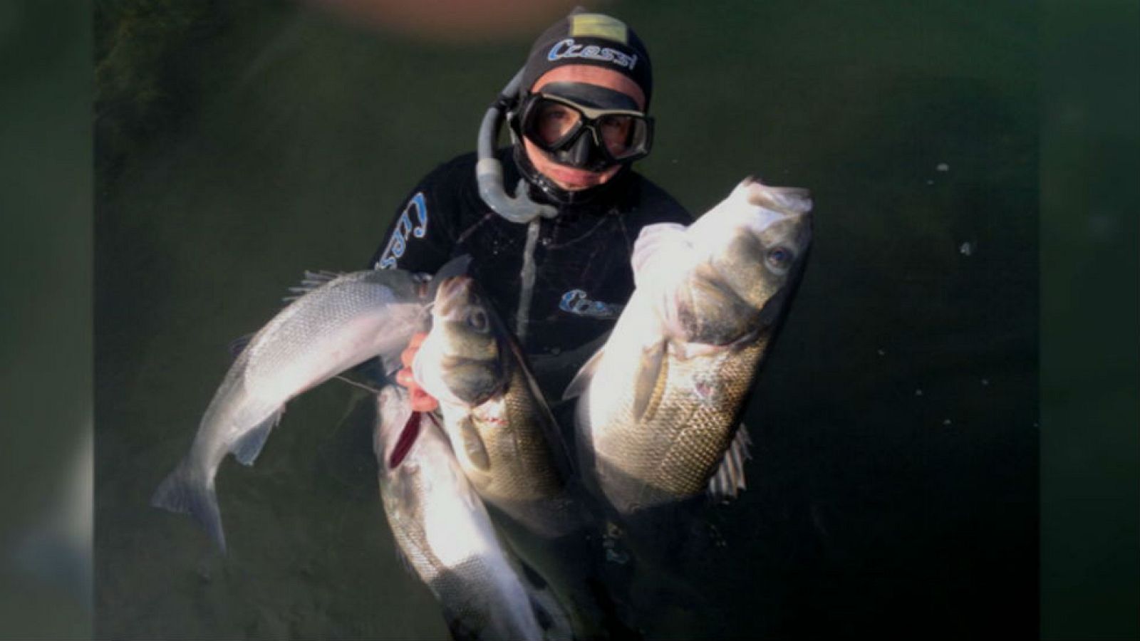 El Indiana Jones del mar