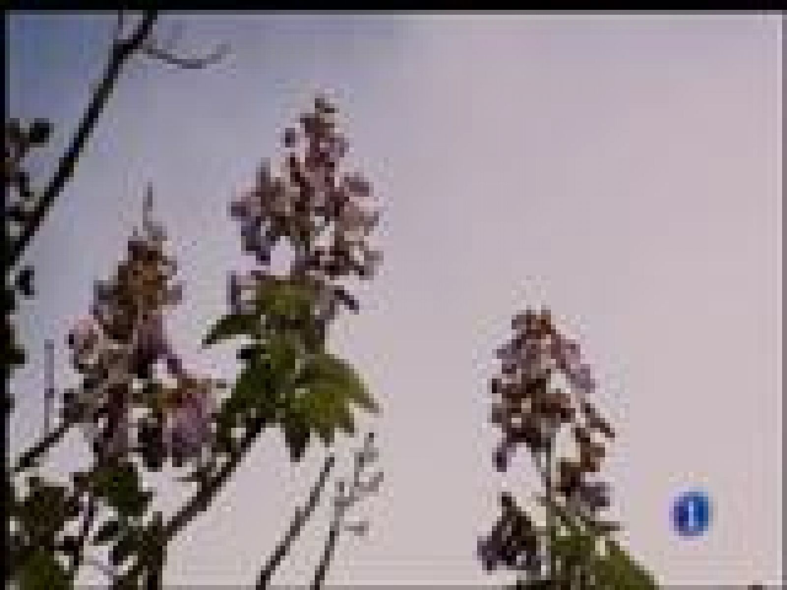 El tiempo en Asturias - 03/05/17 | Ver