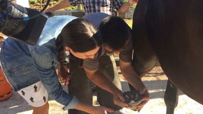 Aquí la Tierra - Un buen herrador es un tesoro