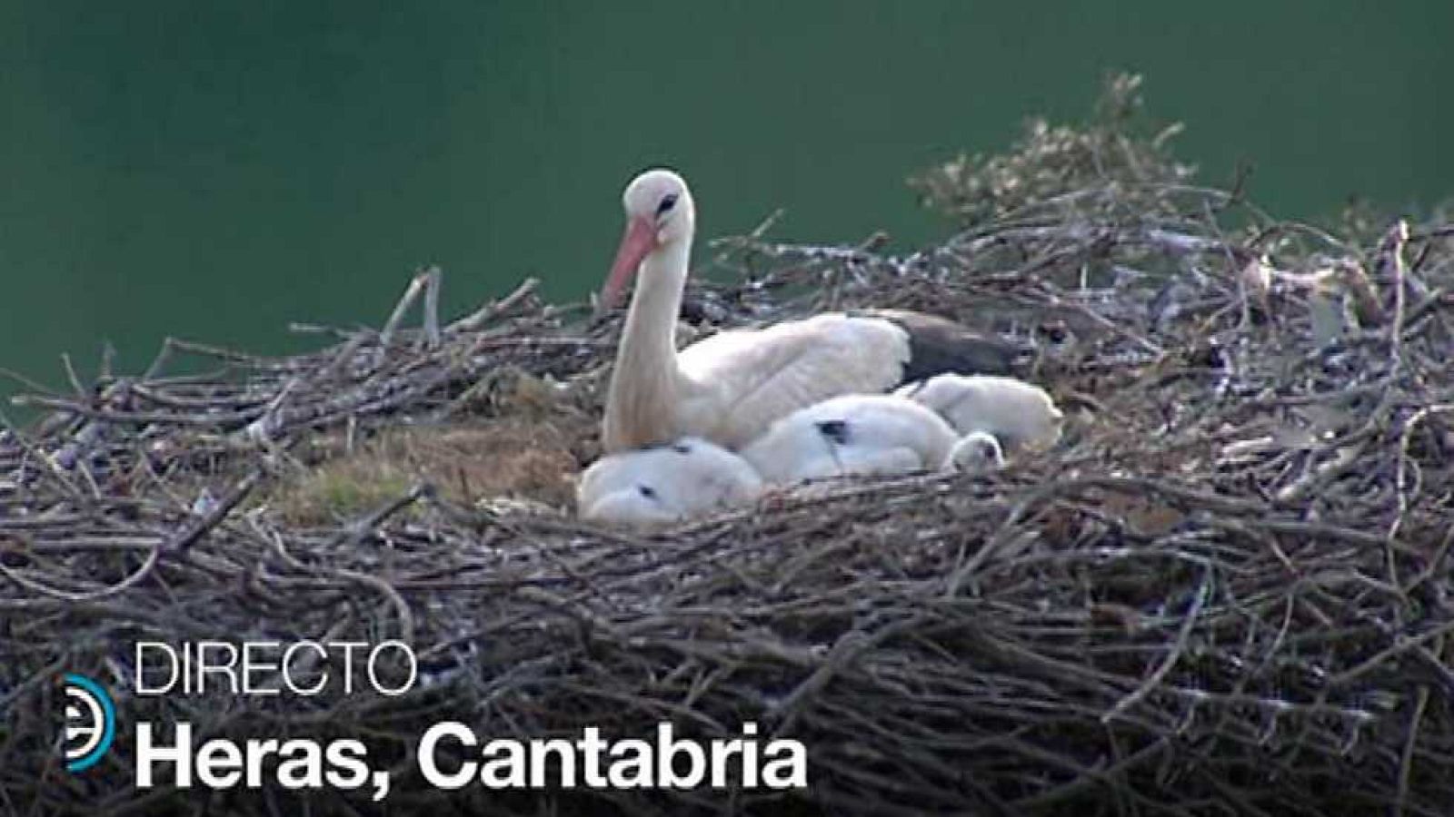 España Directo - 03/05/17 - ver ahora