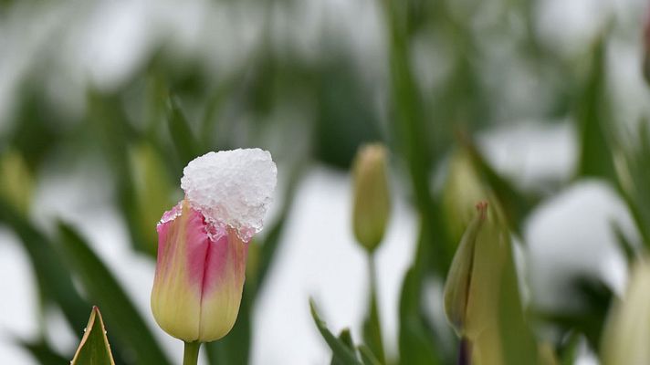 El tiempo - Las temperaturas estarán por encima de lo normal y podría haber chubascos en el nordeste