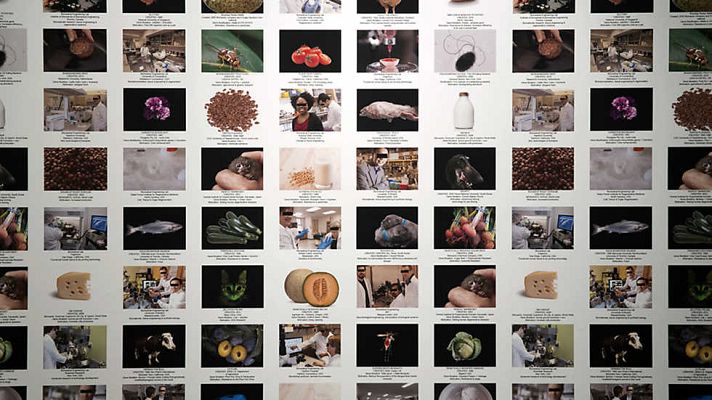 Metrópolis - Los monstruos de la máquina