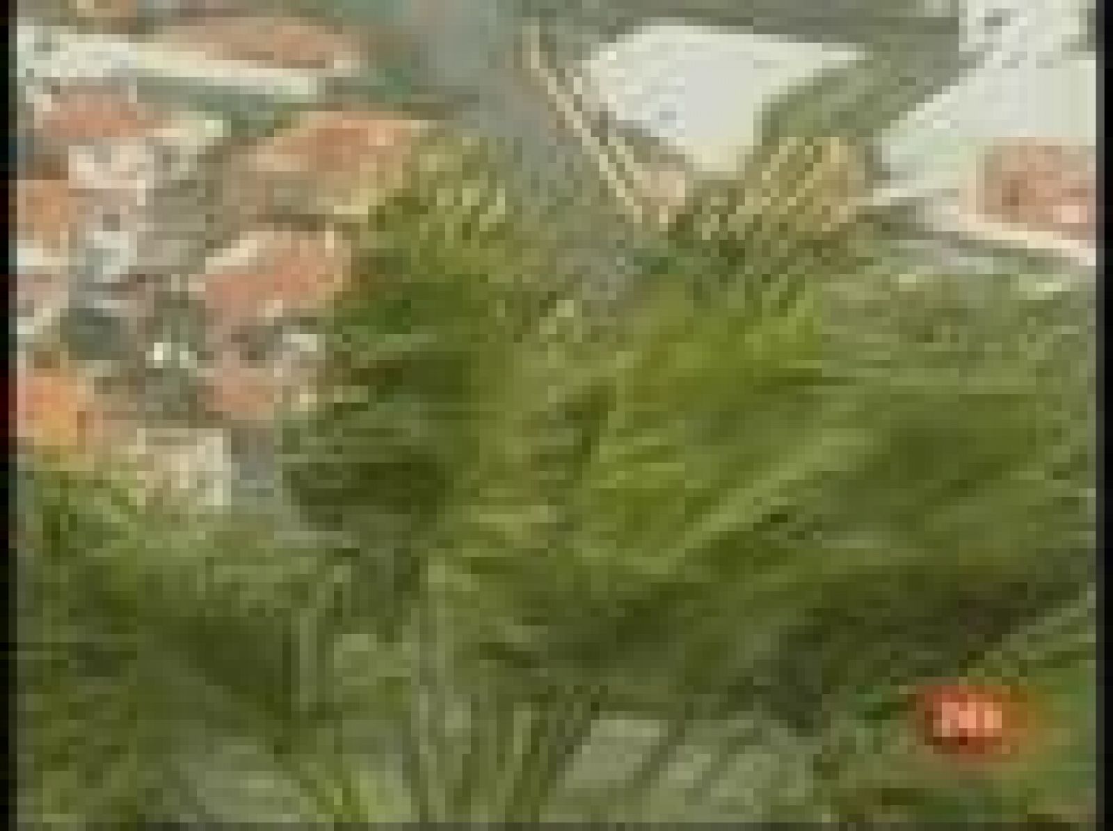 El Tiempo - 06/02/09 - El tiempo | Ver