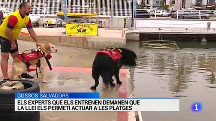 L'Informatiu - L'Informatiu - 05/05/17