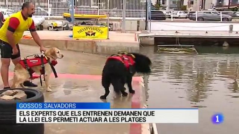 L'Informatiu - 05/05/17