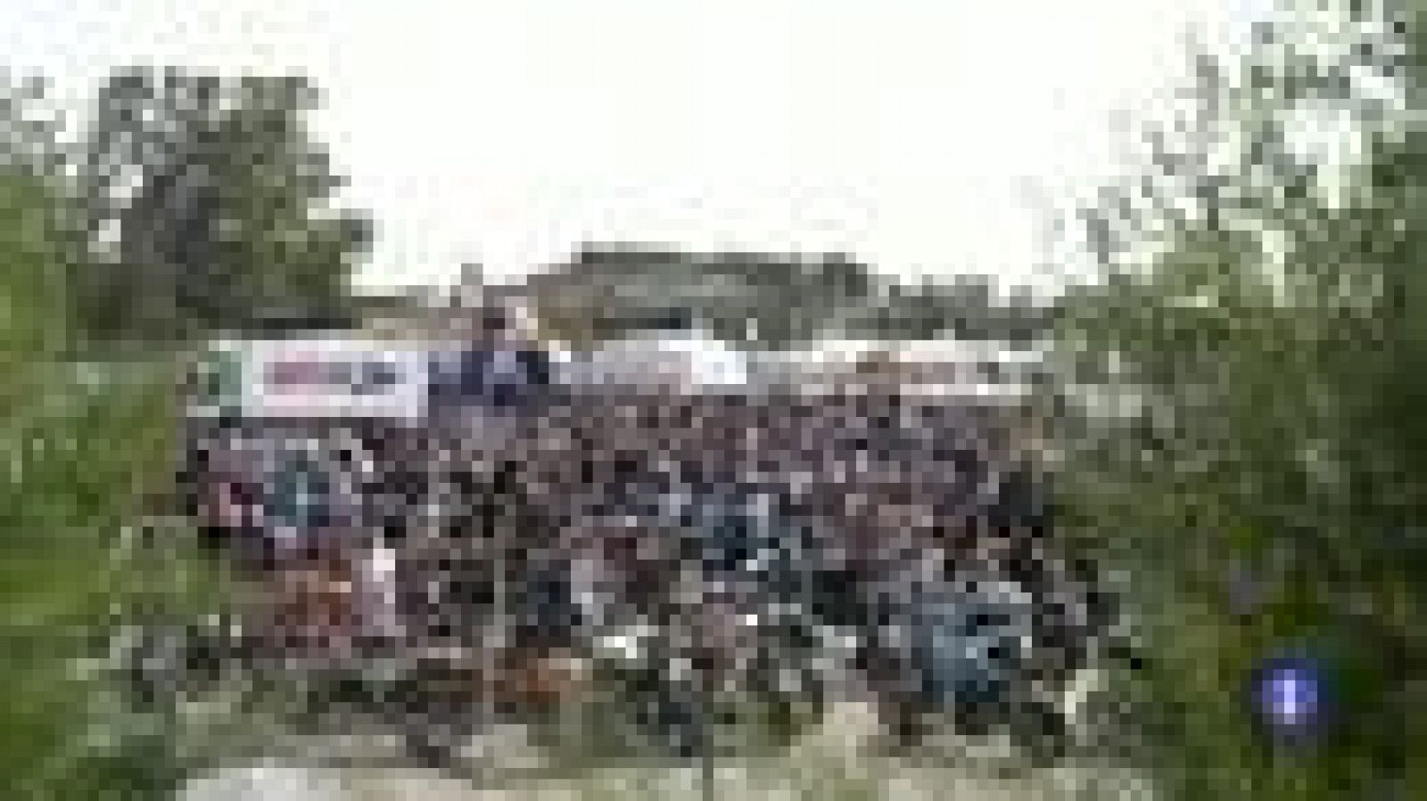 Noticias Andalucía 2 - 5/05/2017 | Ver