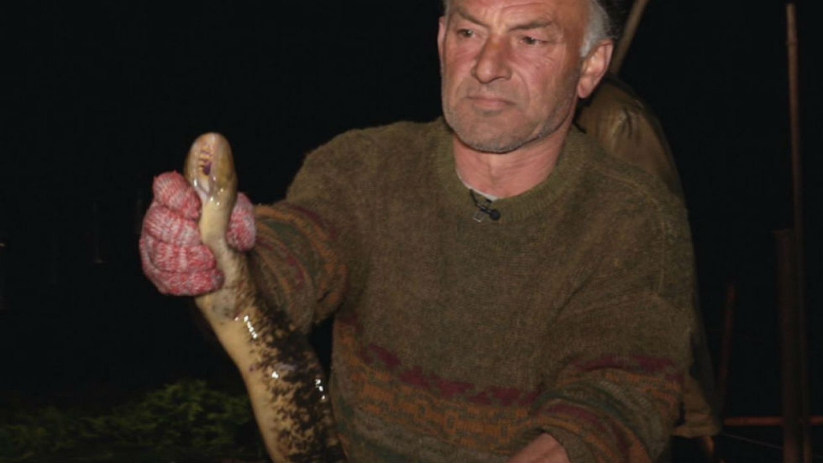 La estacada del río Tea