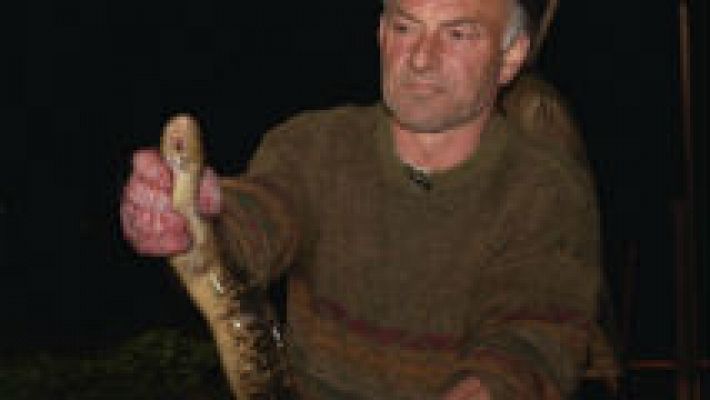 Aquí la Tierra - La estacada del río Tea