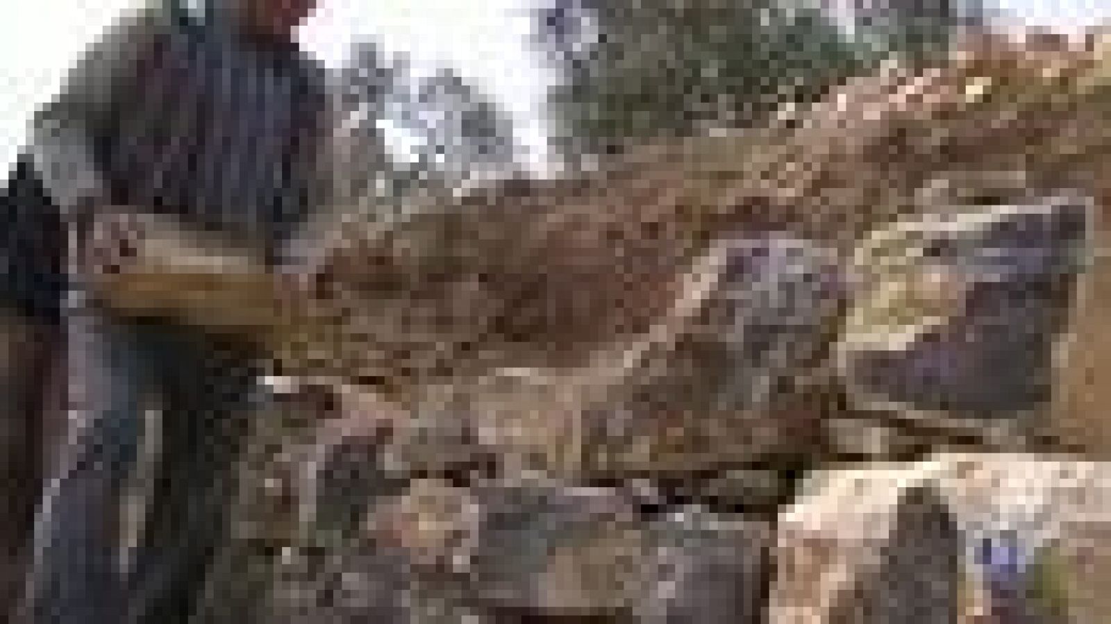 L'Informatiu: Les construccions de pedra seca van a la UNESCO | RTVE Play